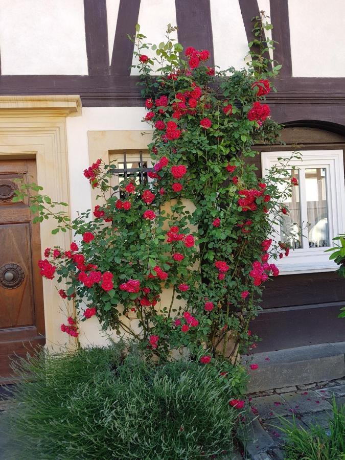 Apartamento Fewo Niedere Muehlwiese Großschönau Exterior foto